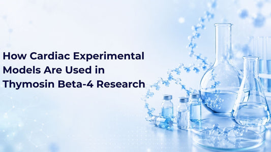 How Cardiac Experimental Models Are Used in Thymosin Beta-4 Research