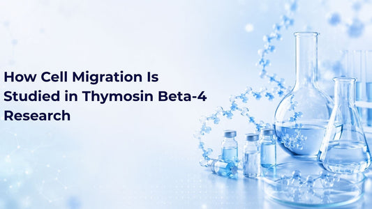 How Cell Migration Is Studied in Thymosin Beta-4 Research