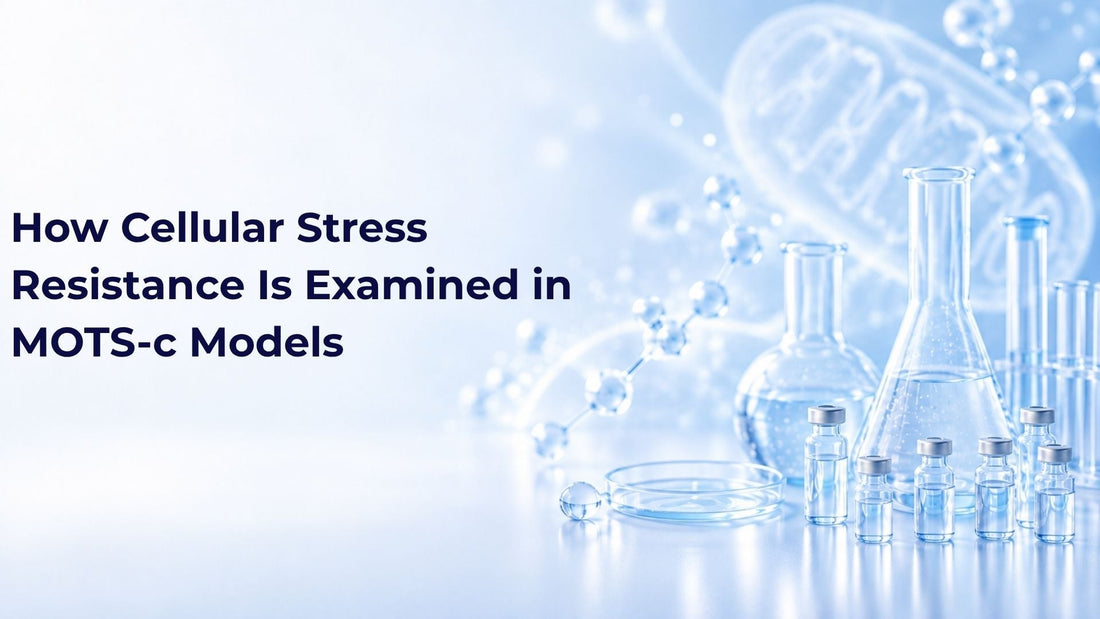How Cellular Stress Resistance Is Examined in MOTS-c Models