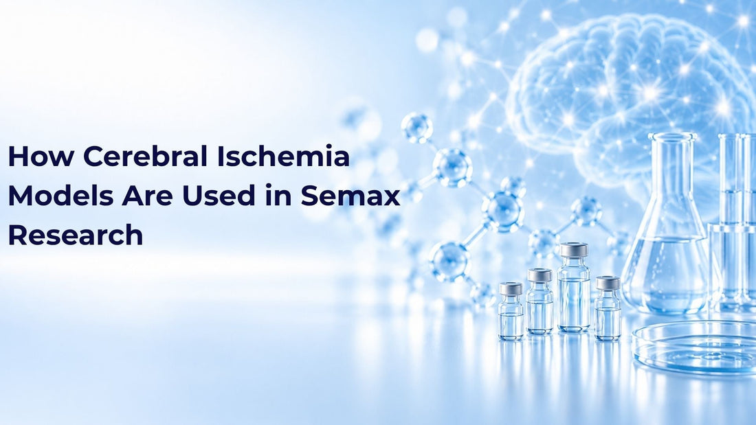 How Cerebral Ischemia Models Are Used in Semax Research