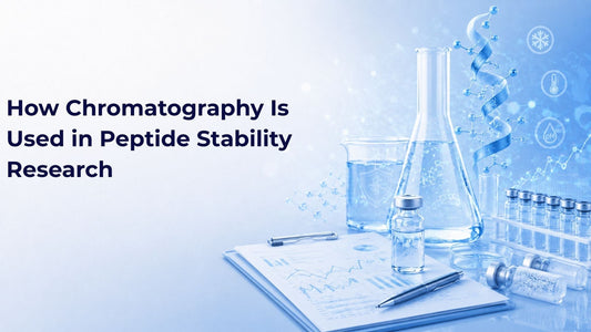 How Chromatography Is Used in Peptide Stability Research