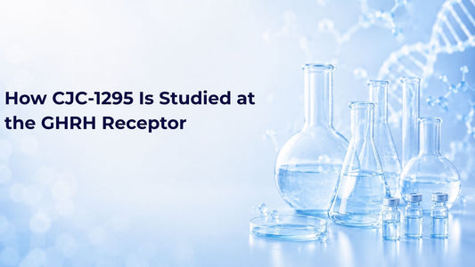 How CJC-1295 Is Studied at the GHRH Receptor