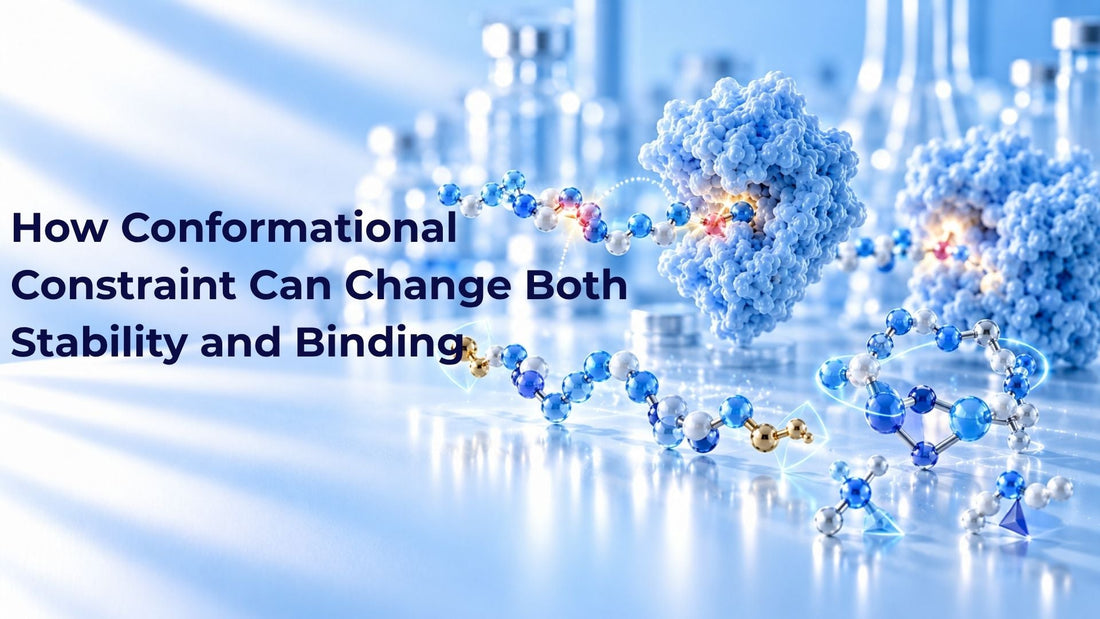 How Conformational Constraint Can Change Both Stability and Binding