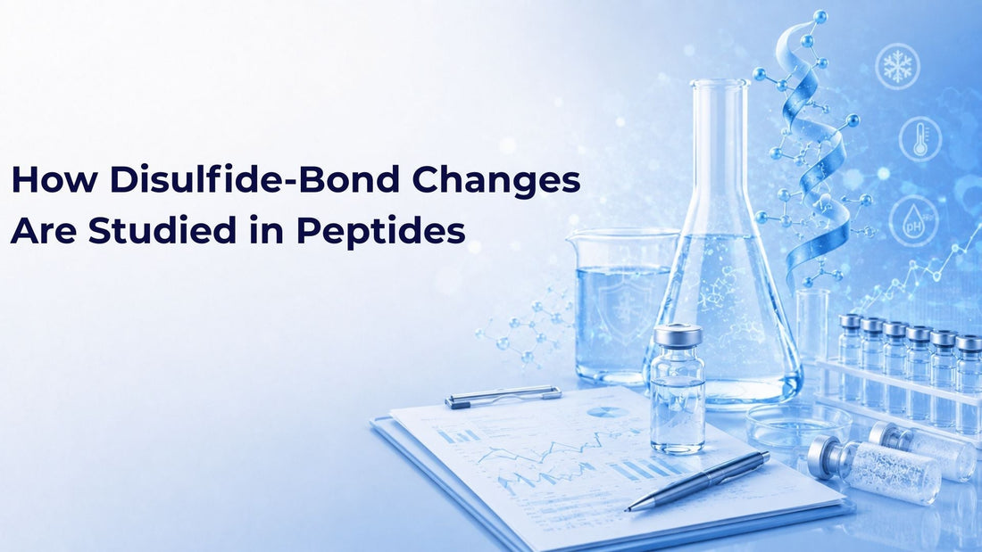 How Disulfide-Bond Changes Are Studied in Peptides