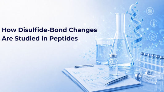 How Disulfide-Bond Changes Are Studied in Peptides