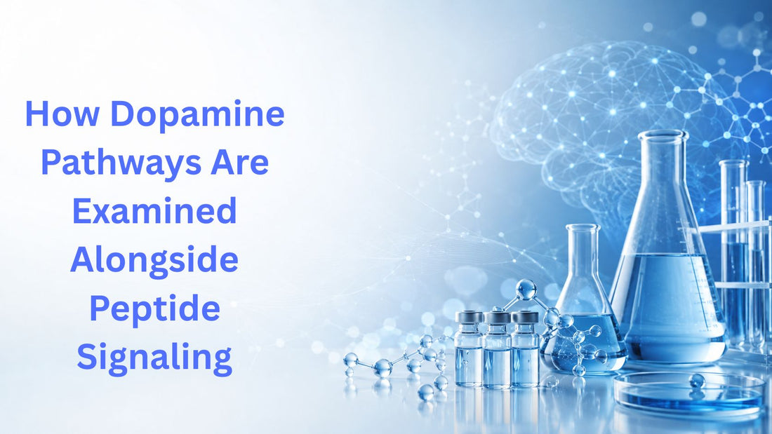 How Dopamine Pathways Are Examined Alongside Peptide Signaling