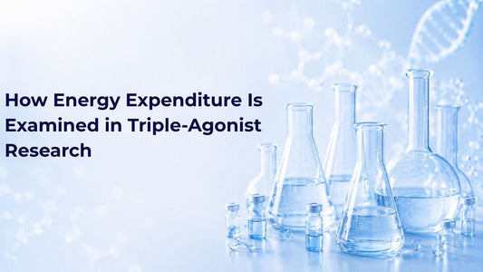 How Energy Expenditure Is Examined in Triple-Agonist Research