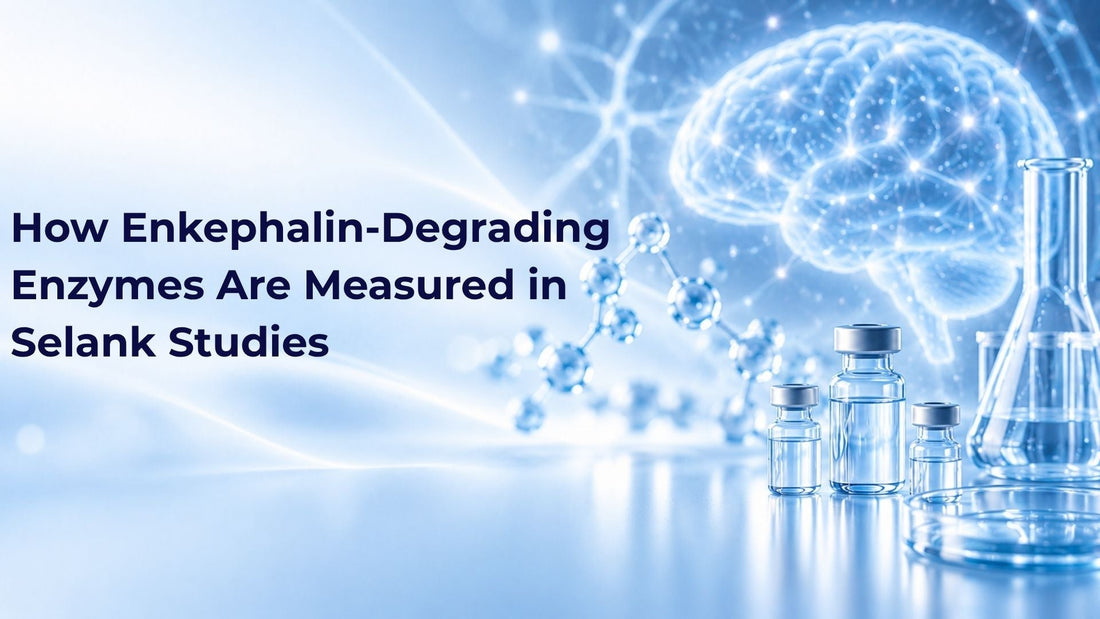 How Enkephalin-Degrading Enzymes Are Measured in Selank Studies