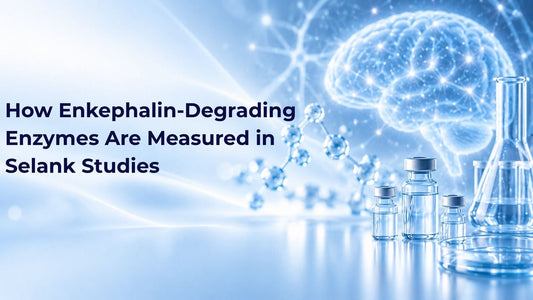 How Enkephalin-Degrading Enzymes Are Measured in Selank Studies
