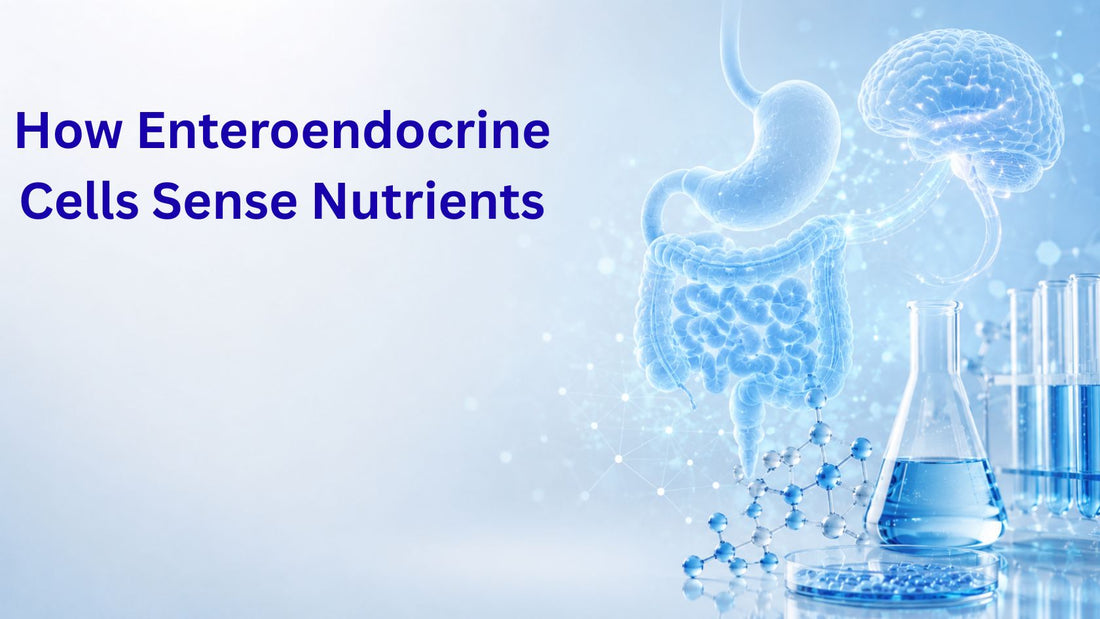 How Enteroendocrine Cells Sense Nutrients