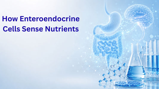 How Enteroendocrine Cells Sense Nutrients