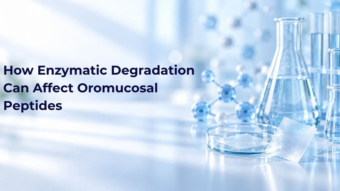 How Enzymatic Degradation Can Affect Oromucosal Peptides