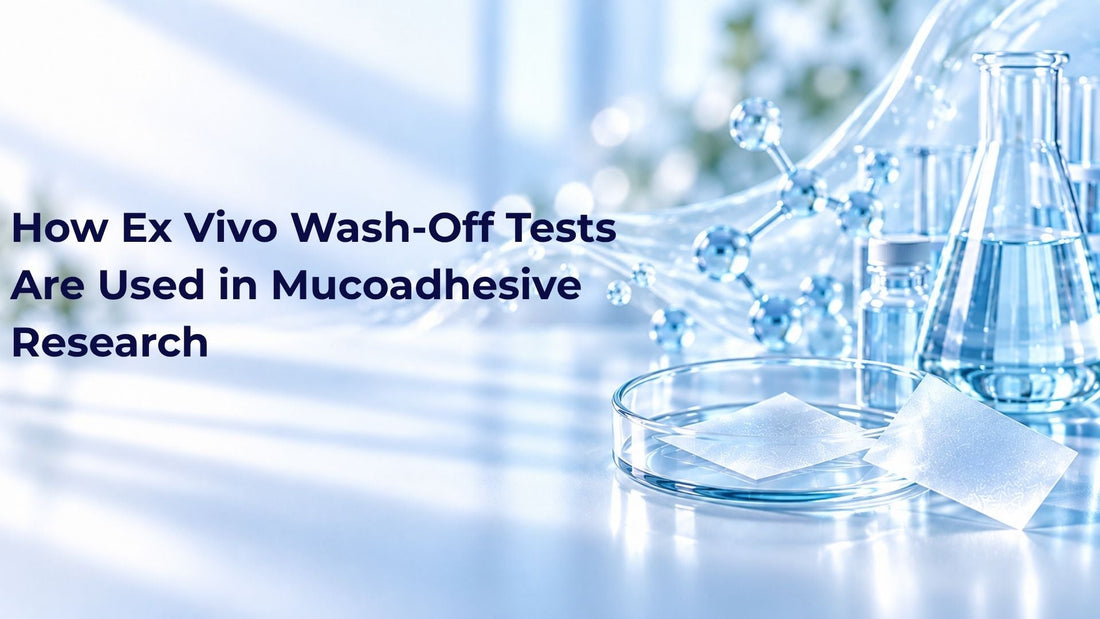 How Ex Vivo Wash-Off Tests Are Used in Mucoadhesive Research