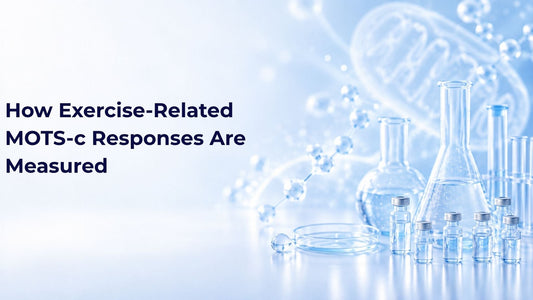 How Exercise-Related MOTS-c Responses Are Measured