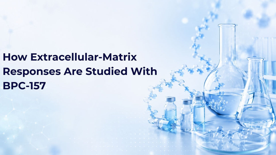 How Extracellular-Matrix Responses Are Studied With BPC-157