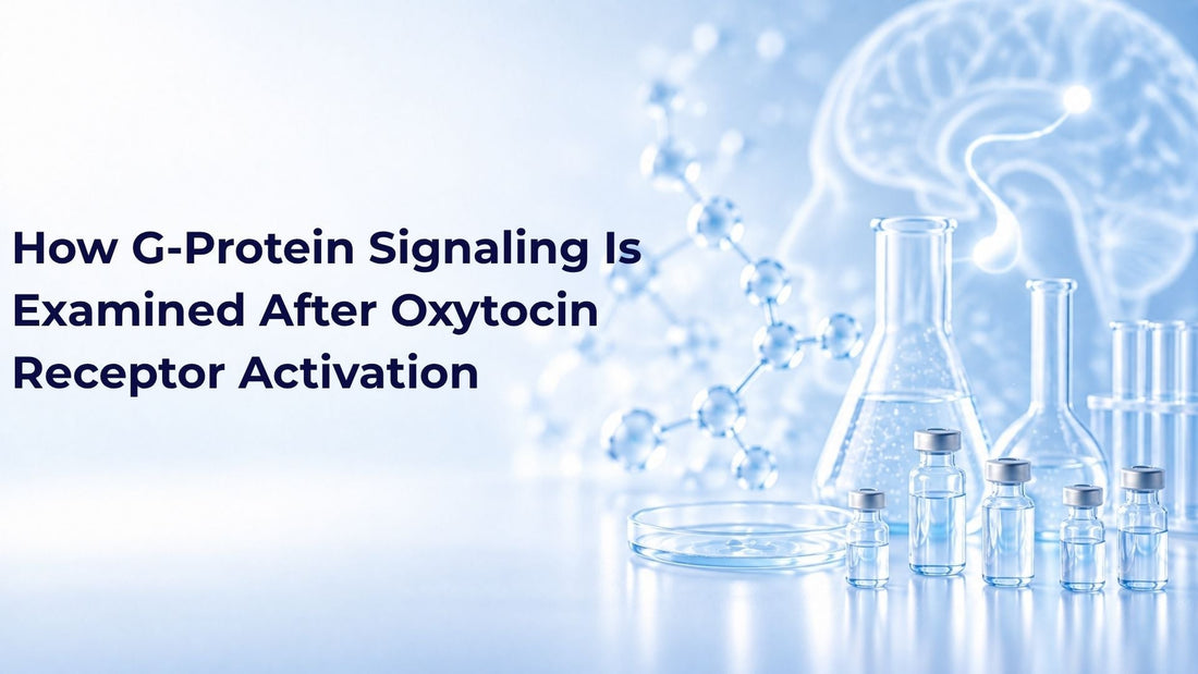 How G-Protein Signaling Is Examined After Oxytocin Receptor Activation