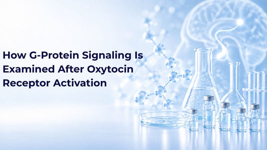 How G-Protein Signaling Is Examined After Oxytocin Receptor Activation