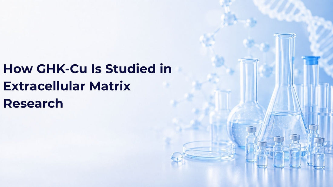 How GHK-Cu Is Studied in Extracellular Matrix Research