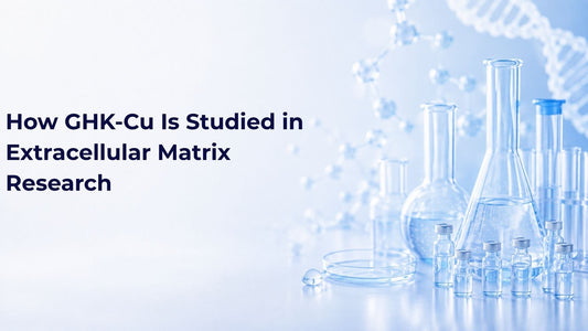 How GHK-Cu Is Studied in Extracellular Matrix Research