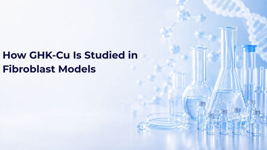 How GHK-Cu Is Studied in Fibroblast Models