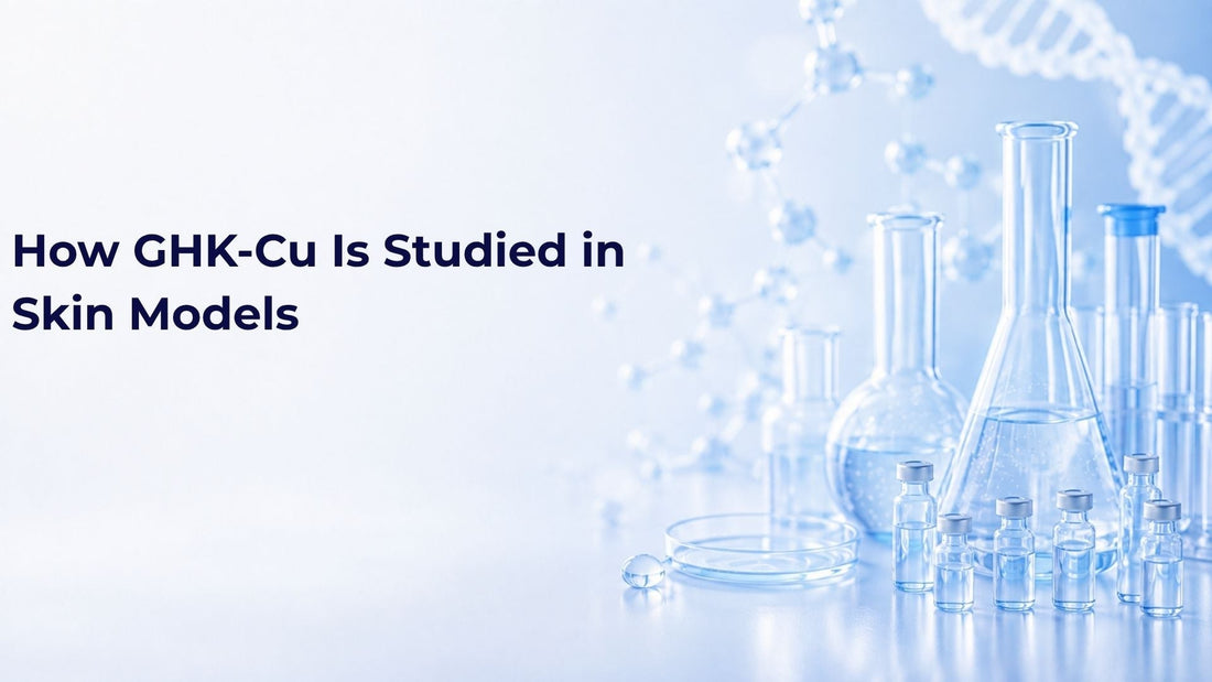 How GHK-Cu Is Studied in Skin Models