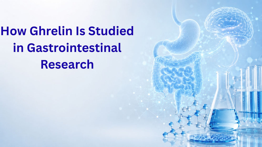 How Ghrelin Is Studied in Gastrointestinal Research
