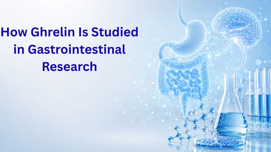 How Ghrelin Is Studied in Gastrointestinal Research
