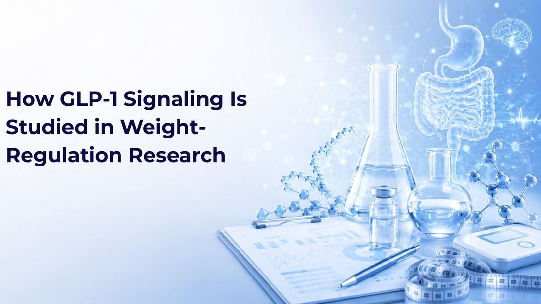How GLP-1 Signaling Is Studied in Weight-Regulation Research