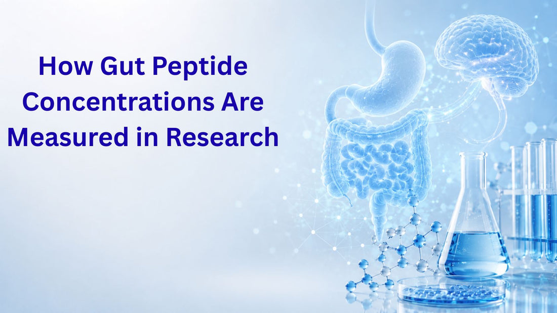 How Gut Peptide Concentrations Are Measured in Research