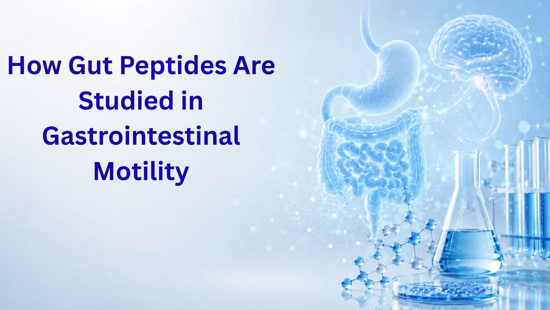 How Gut Peptides Are Studied in Gastrointestinal Motility