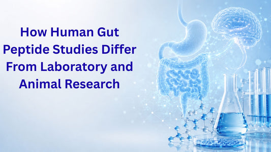 How Human Gut Peptide Studies Differ From Laboratory and Animal Research