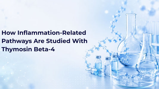 How Inflammation-Related Pathways Are Studied With Thymosin Beta-4