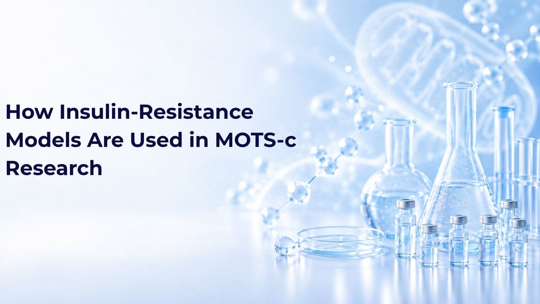 How Insulin-Resistance Models Are Used in MOTS-c Research
