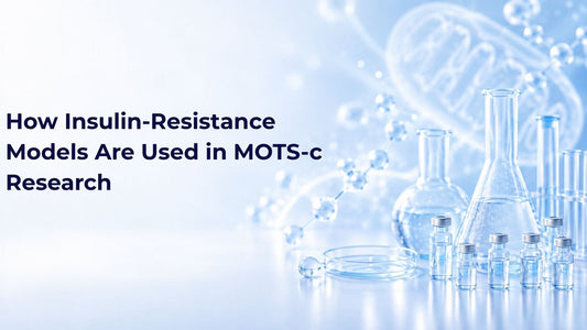 How Insulin-Resistance Models Are Used in MOTS-c Research