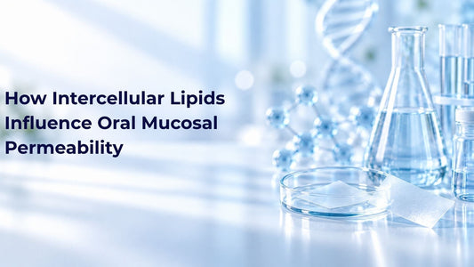 How Intercellular Lipids Influence Oral Mucosal Permeability