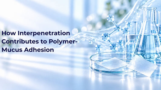 How Interpenetration Contributes to Polymer-Mucus Adhesion