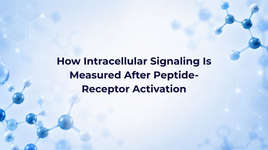 How Intracellular Signaling Is Measured After Peptide-Receptor Activation