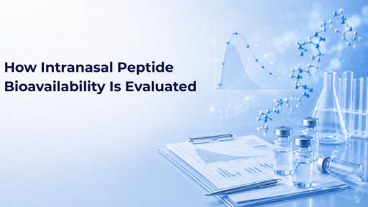 How Intranasal Peptide Bioavailability Is Evaluated