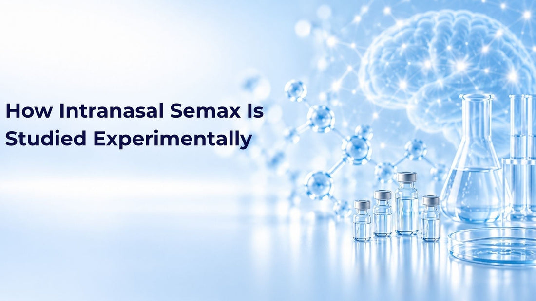 How Intranasal Semax Is Studied Experimentally