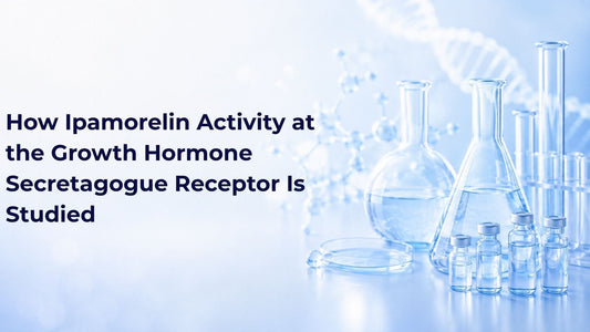 How Ipamorelin Activity at the Growth Hormone Secretagogue Receptor Is Studied