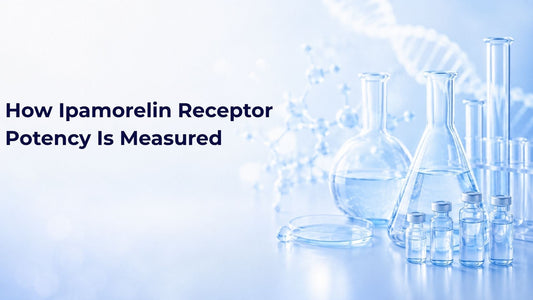 How Ipamorelin Receptor Potency Is Measured