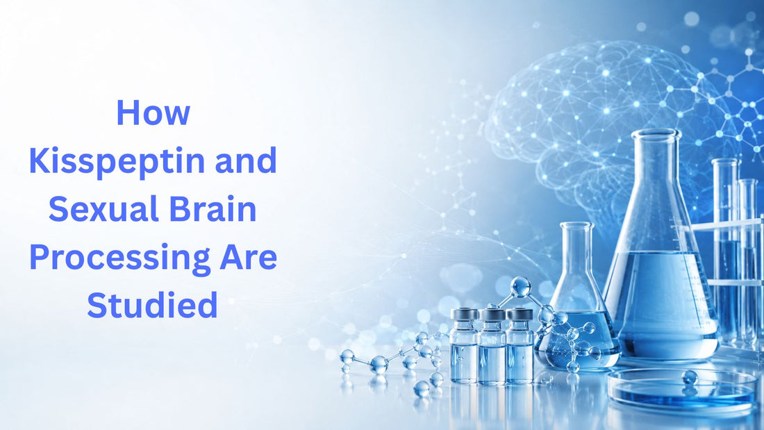 How Kisspeptin and Sexual Brain Processing Are Studied