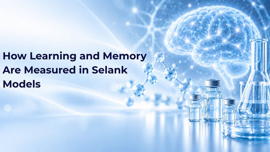 How Learning and Memory Are Measured in Selank Models