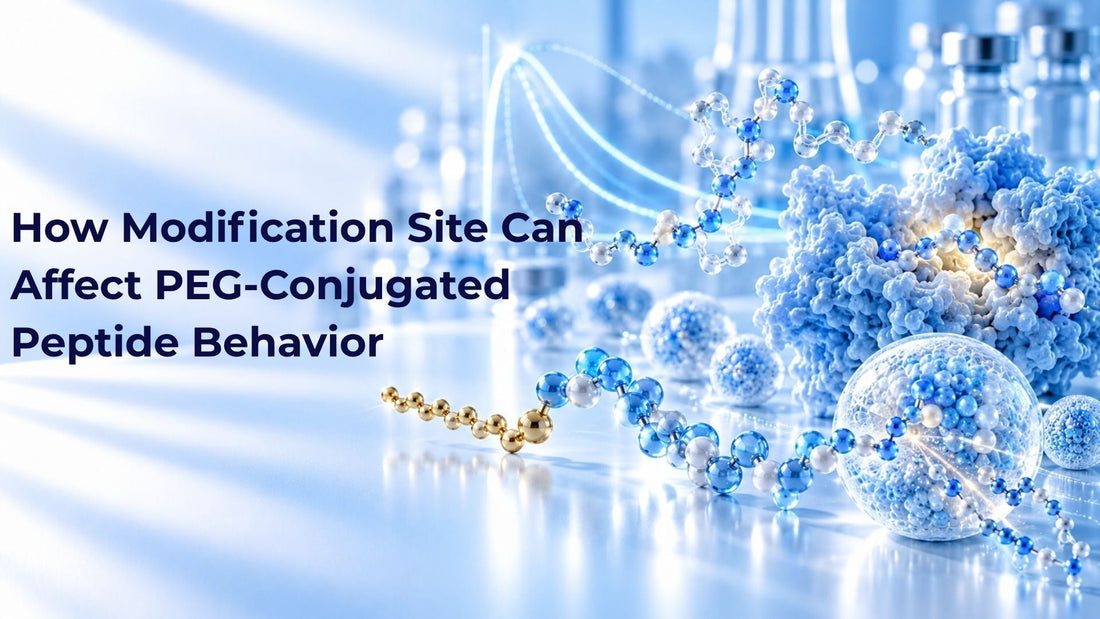 How Modification Site Can Affect PEG-Conjugated Peptide Behavior