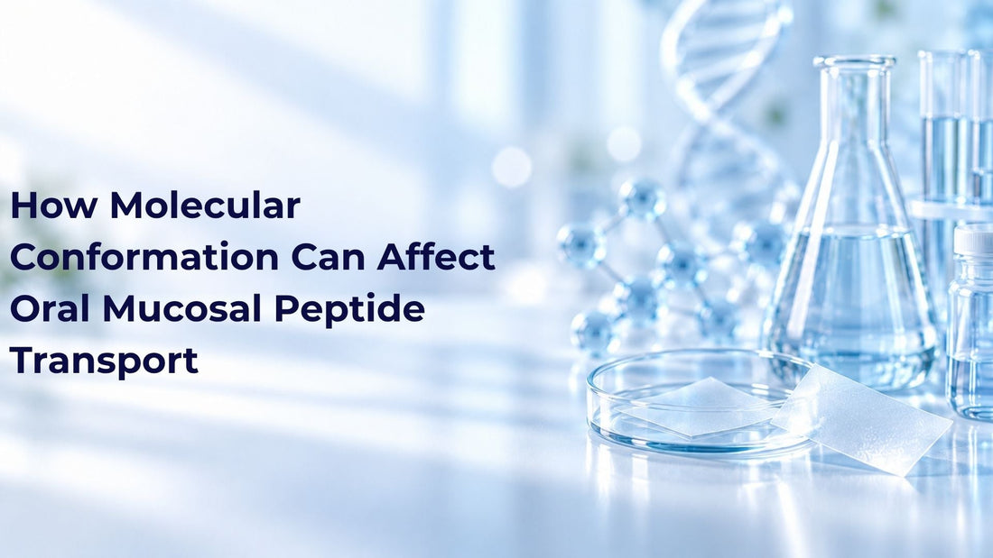 How Molecular Conformation Can Affect Oral Mucosal Peptide Transport