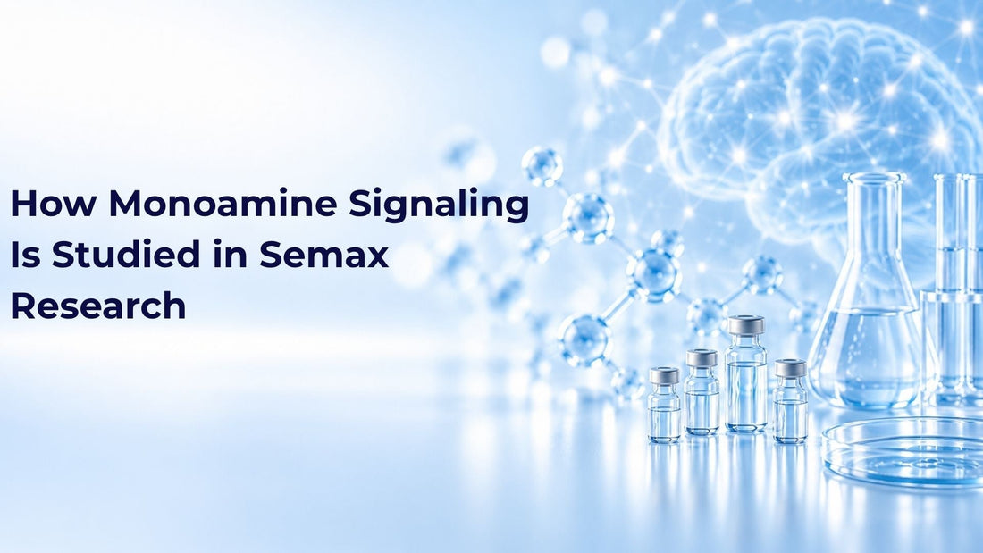 How Monoamine Signaling Is Studied in Semax Research
