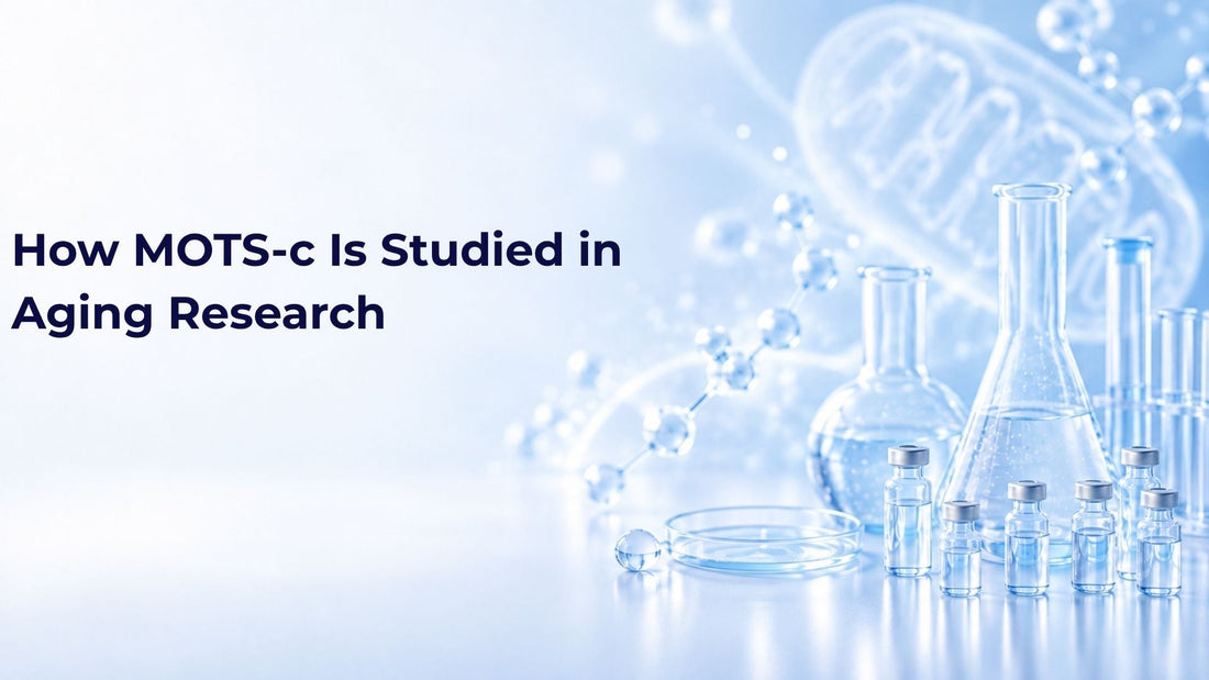 How MOTS-c Is Studied in Aging Research