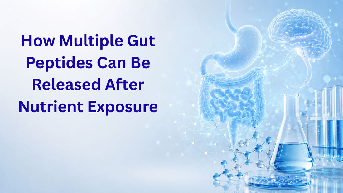 How Multiple Gut Peptides Can Be Released After Nutrient Exposure