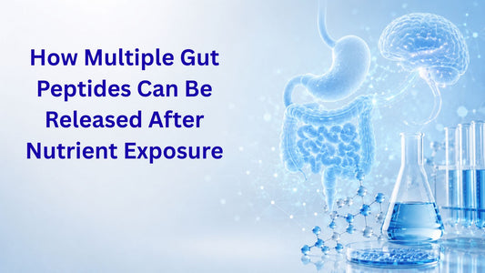 How Multiple Gut Peptides Can Be Released After Nutrient Exposure