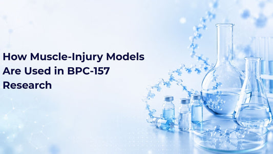 How Muscle-Injury Models Are Used in BPC-157 Research